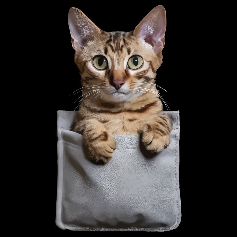 Abessinierkatze in der Tasche Geschenk