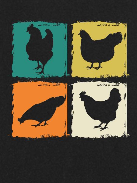 Chickens Hen