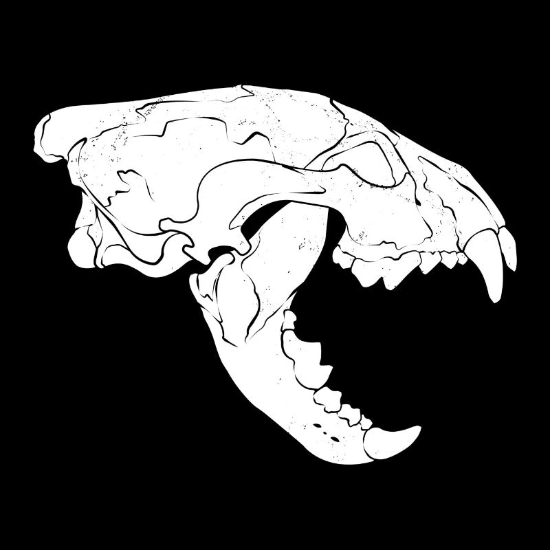 Wolverine Skull