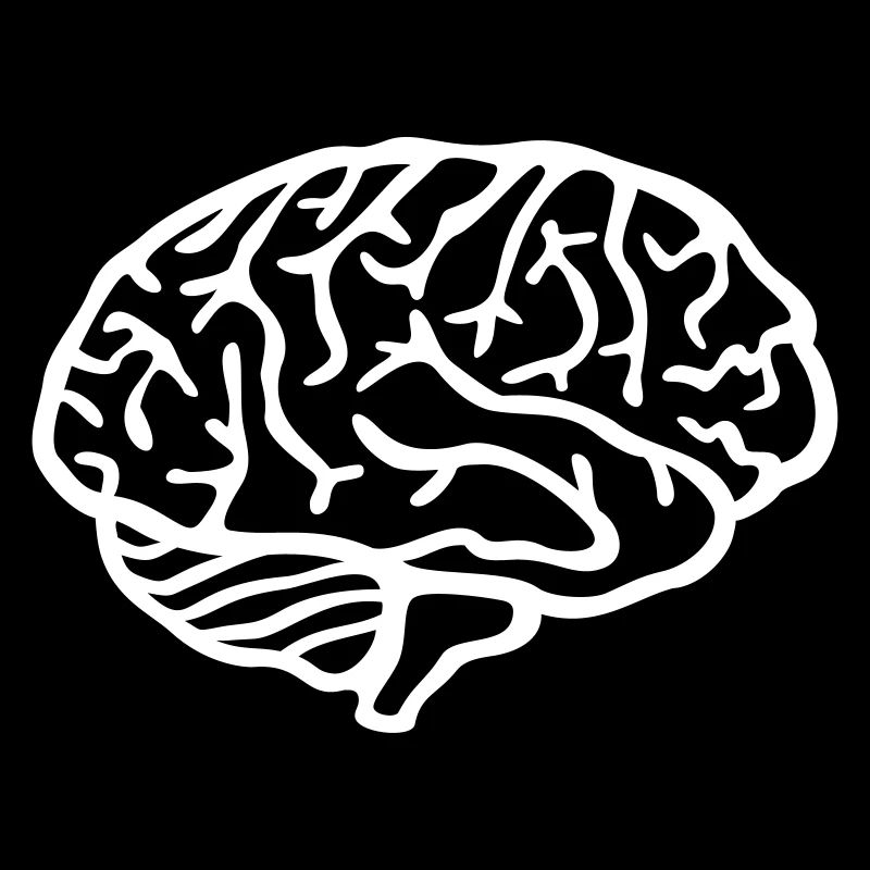 Brain