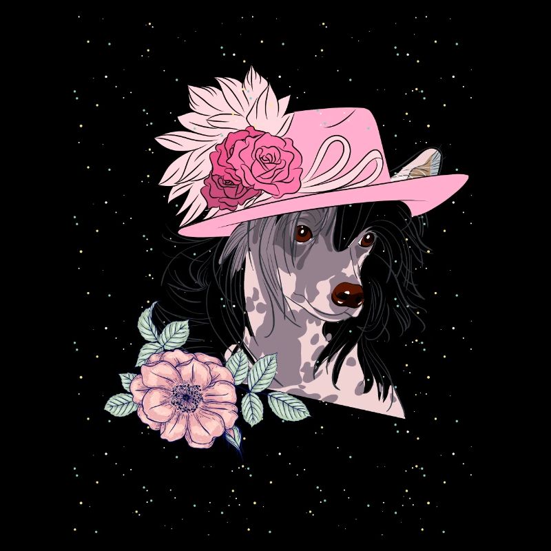 Chinese crested with hat