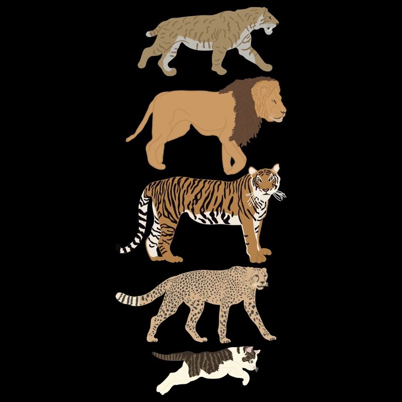 Evolution Cat Lion Cheetah Vertical multicolored