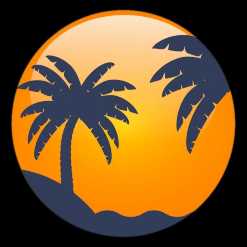 Sun behind palm trees