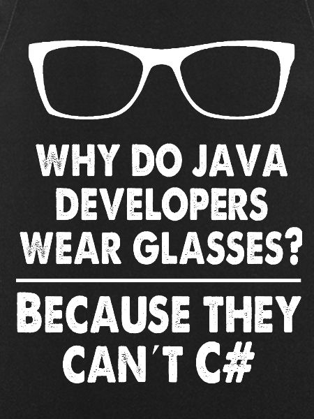 Developer Java