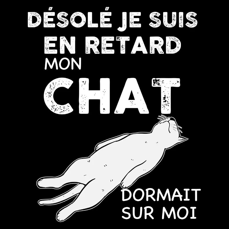 Mon Chat Dort Sur Moi Humour Chat