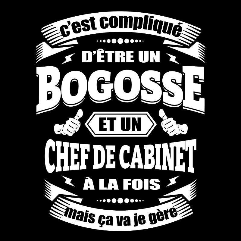 BOGOSSE ET CHEF DE CABINET