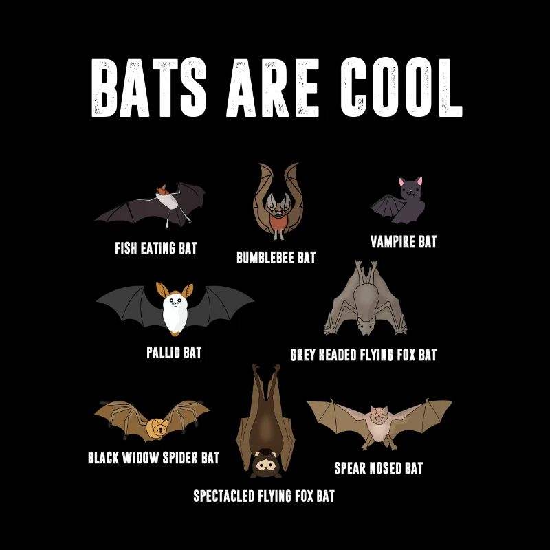 Bats are cool. Bats are cool bat