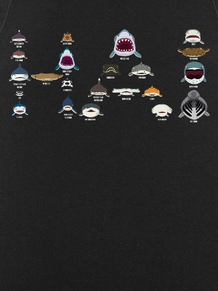 Requins, requins, requins