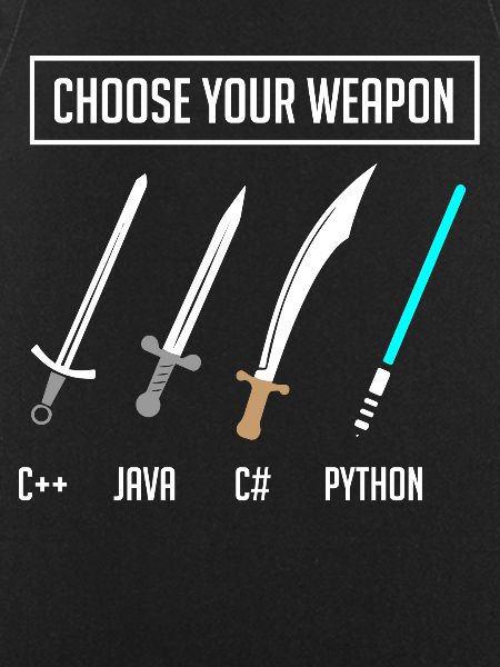 Python-Programmierung, Programmierer Python-Code
