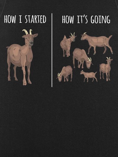 Goat, goats, goat lovers