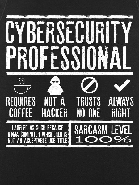 Cybersecurity Expert