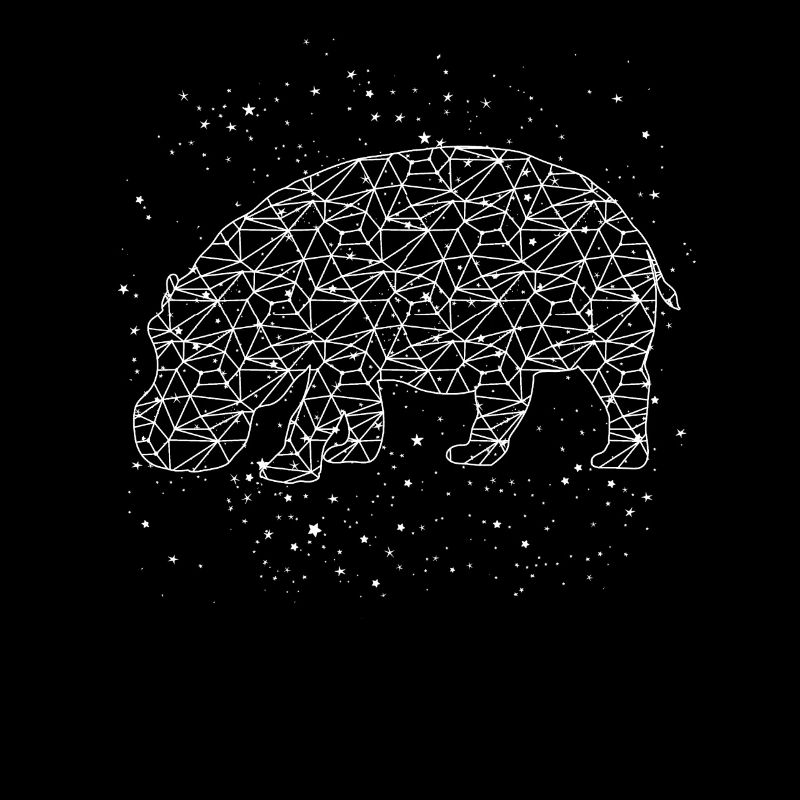 Hippo hippopotame