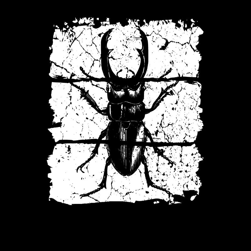 Stag beetle insect