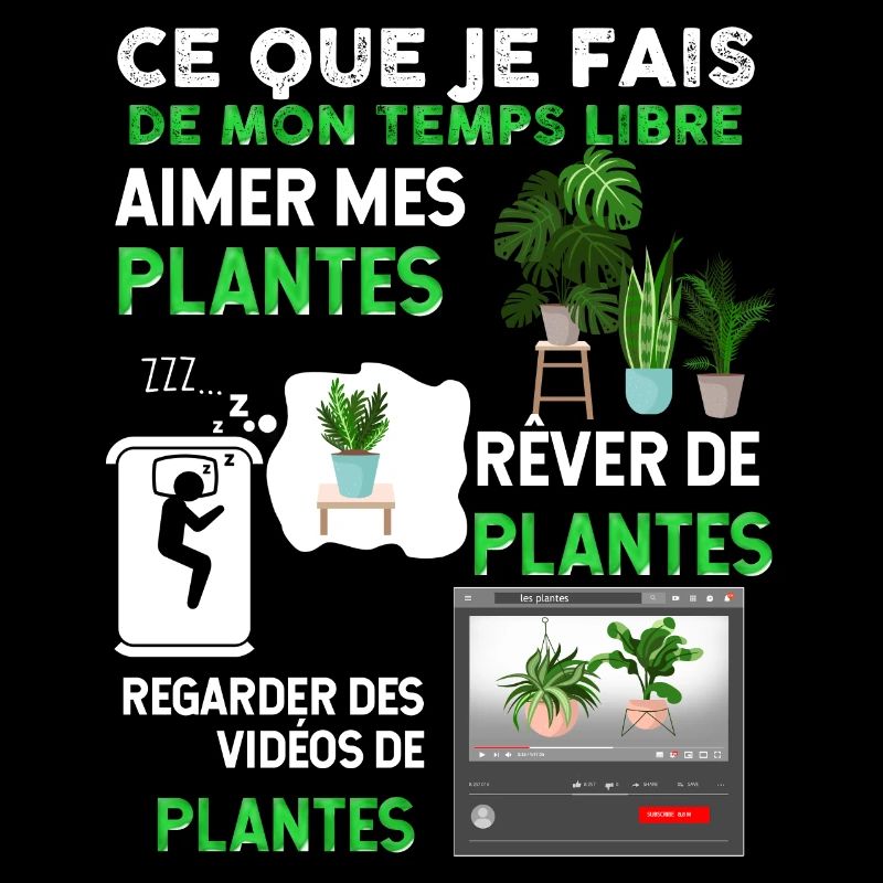 Plante Verte Fleur Jardin Intérieur