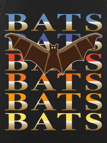 FLEDERMÄUSE BATS