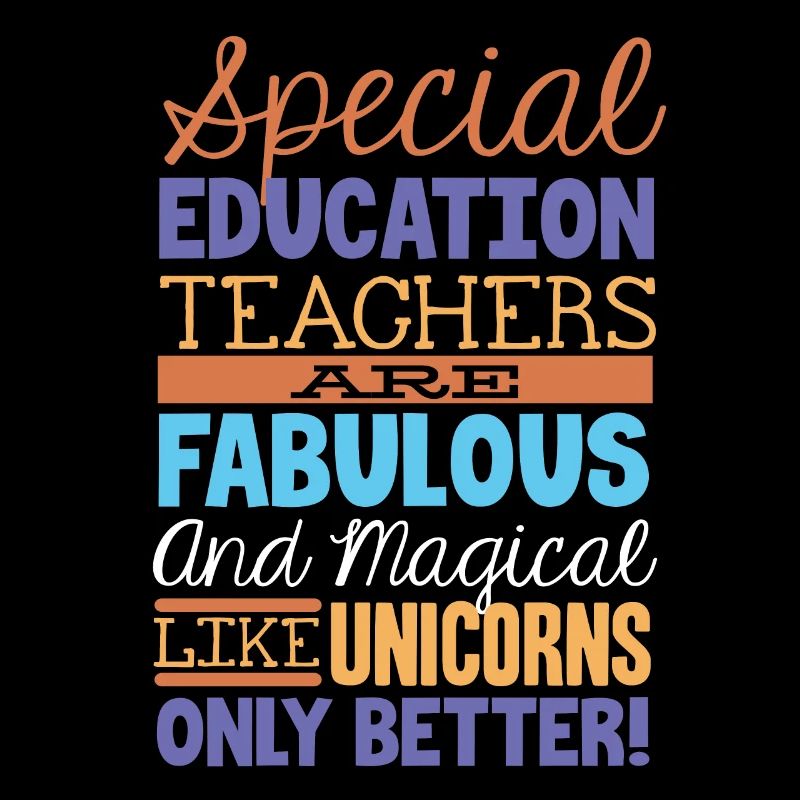 Special Needs Education, Special Education