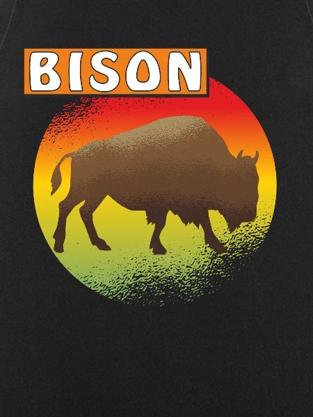 BISON