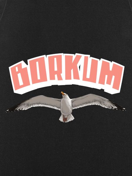 Borkum Seagull