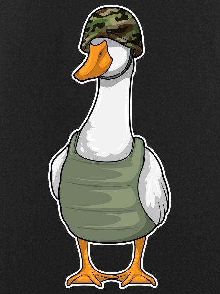 Duck Soldier Helmet
