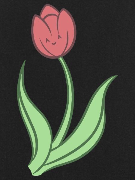 Tulipe douce