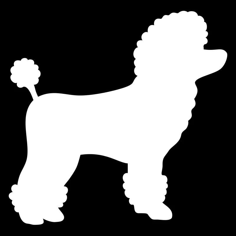 Pudel Geschenk