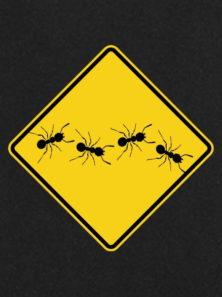 Ants warning sign