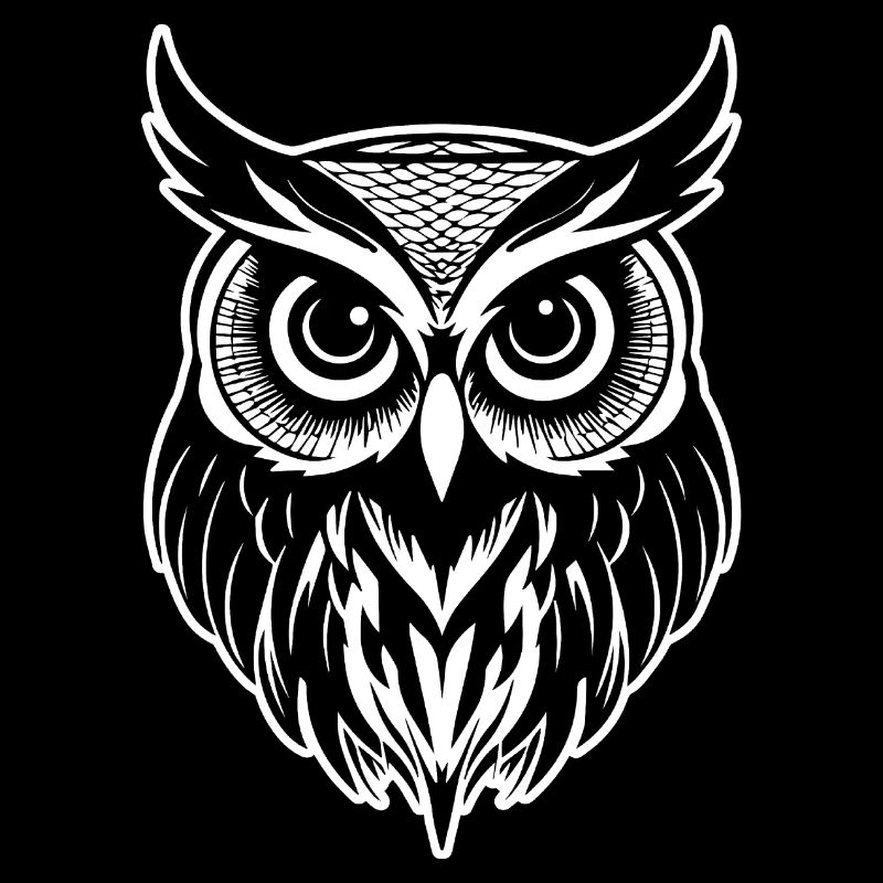 Eule Eulen Vogel Vögel