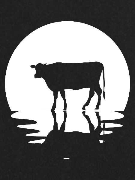 Kreis und Reflexion - Kuh -