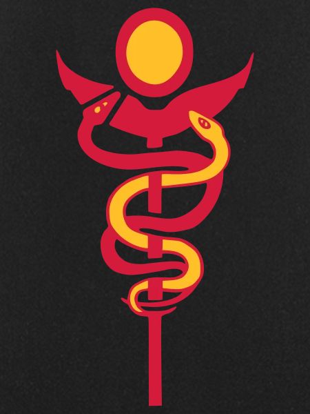 caduceus physio