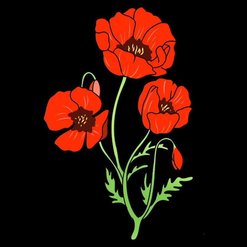 Mohnblume