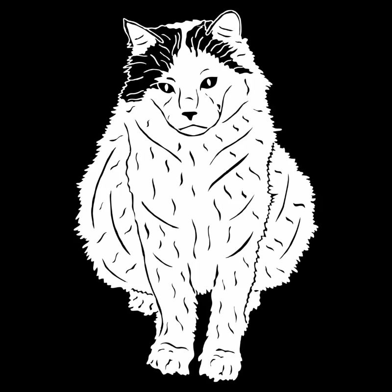 Türkisch Van Katze