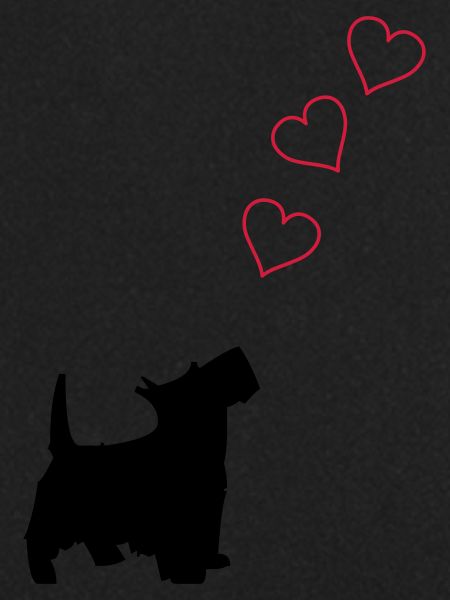 little dog