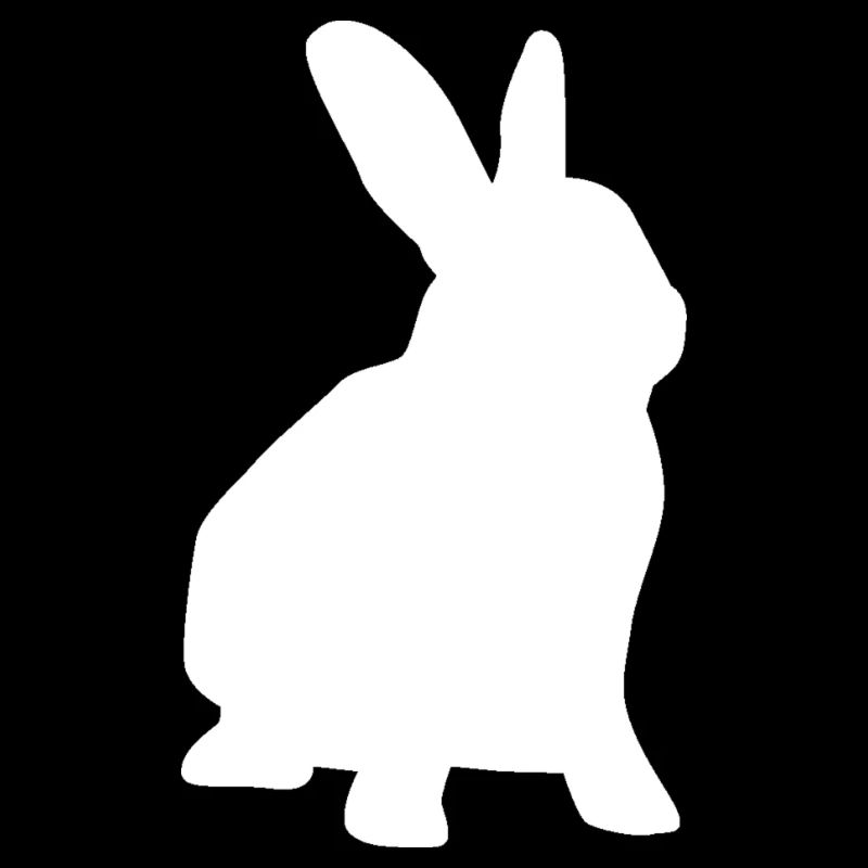 Lapin Lapin Lapin Lapin D'éleveur Lapin De Pâques