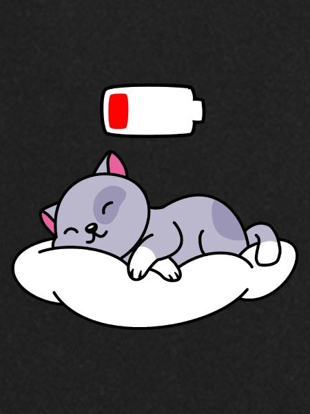 Cat Sleeping Cute
