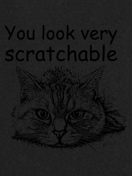 Sarcastic Funny Cat Scratchable