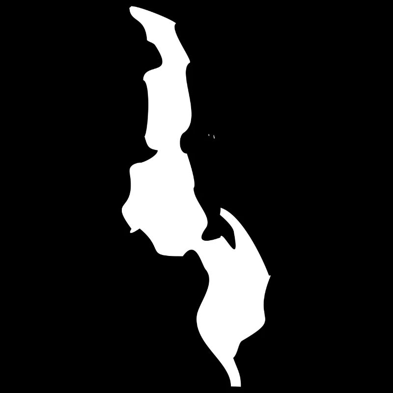 Drapeau de la carte malawi