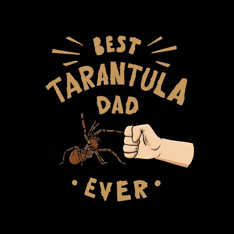 Tarentules Terrarium Tarentule Papa