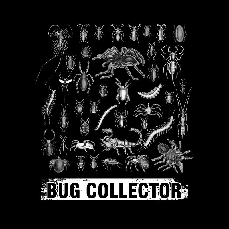 Insects Entomology Insect Owners Animals Bug