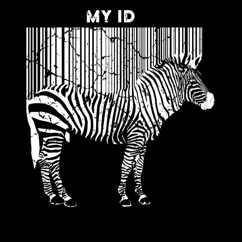 Bandes Zebra