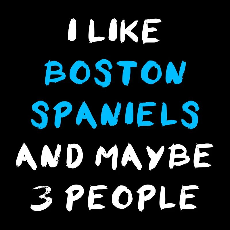 Boston Spaniel