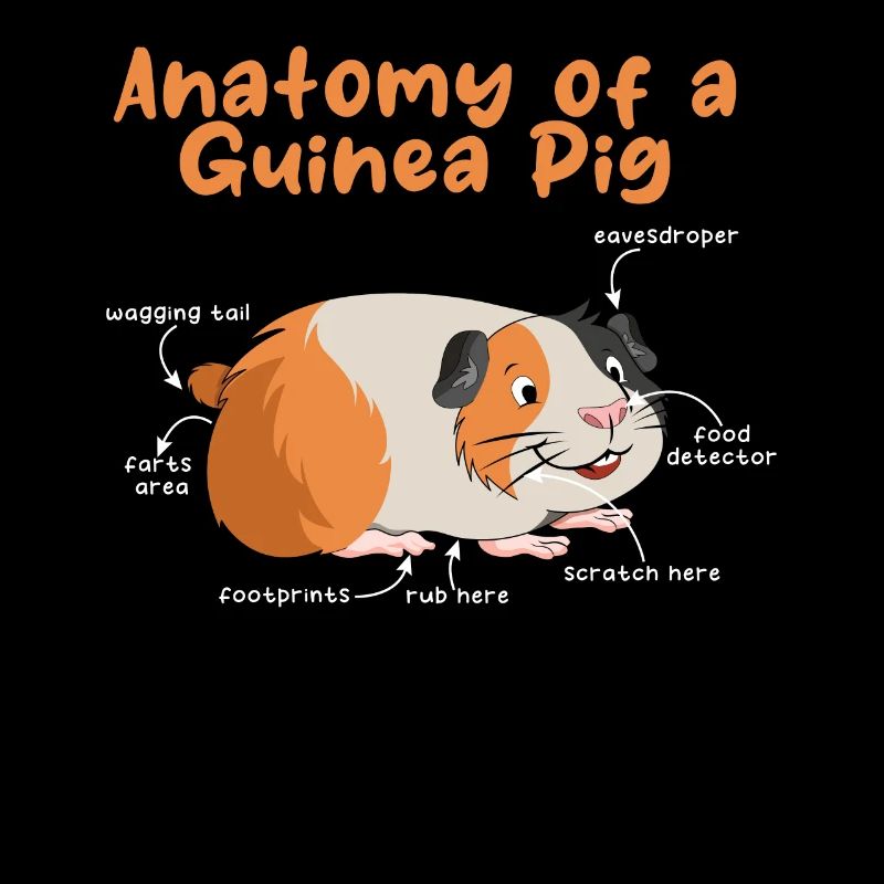 Anatomie animale de chien de compagnie du cochon de poule de Guinée
