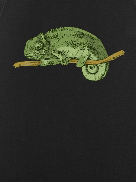 chameleon