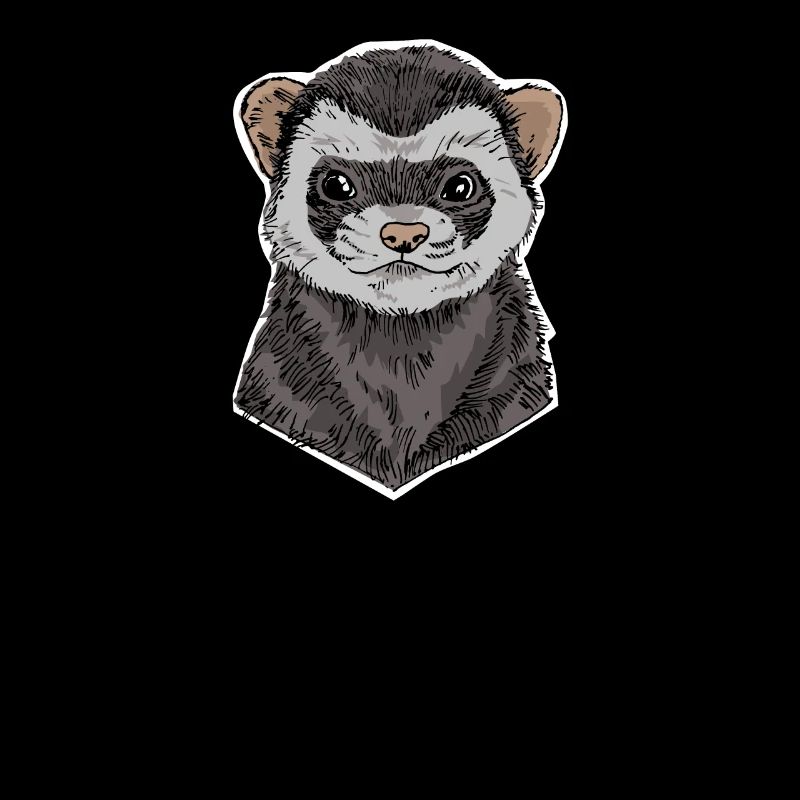 ferrets
