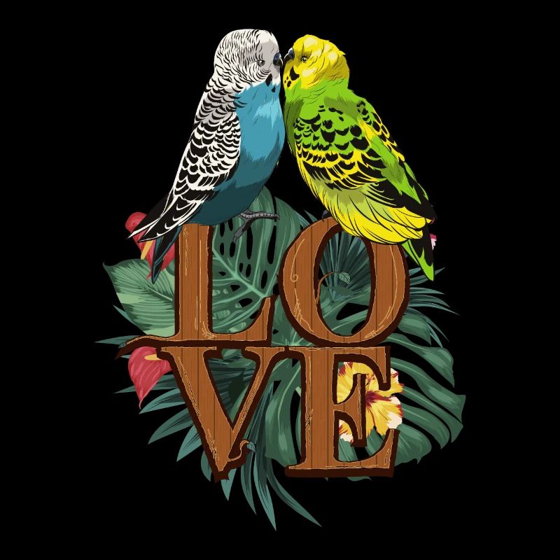 Budgerigar love parakeet