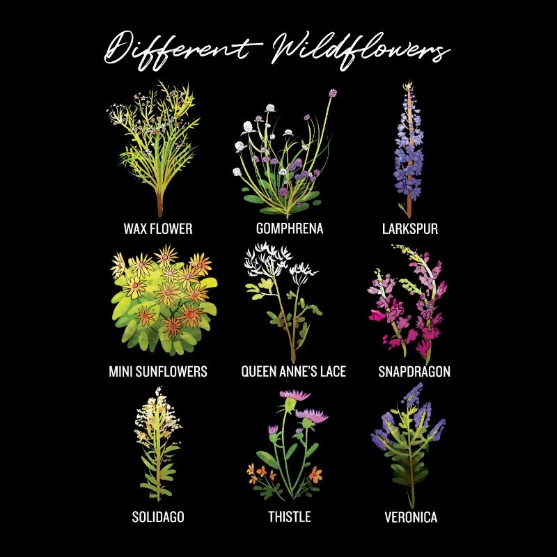 Différentes fleurs sauvages, uniques et rétro rétro