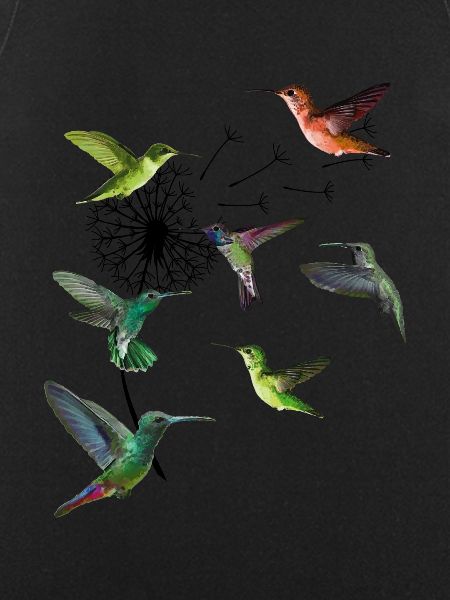 Kolibri Voikukka Kimalainen Hummingbird Lintupaita