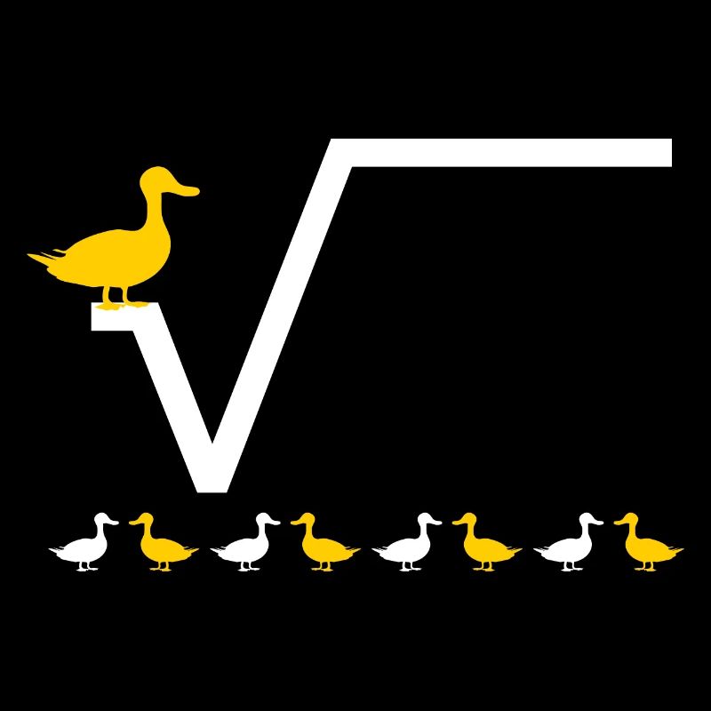 Nth root duck root function | Math gift