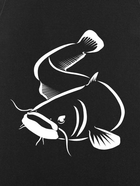 Silure - pêche silure