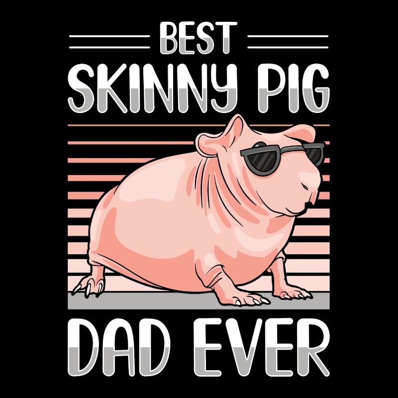Cochon d’Inde sans poils Cochon maigre