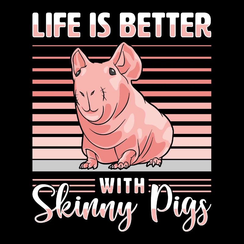 Cochon d’Inde sans poils Cochon maigre